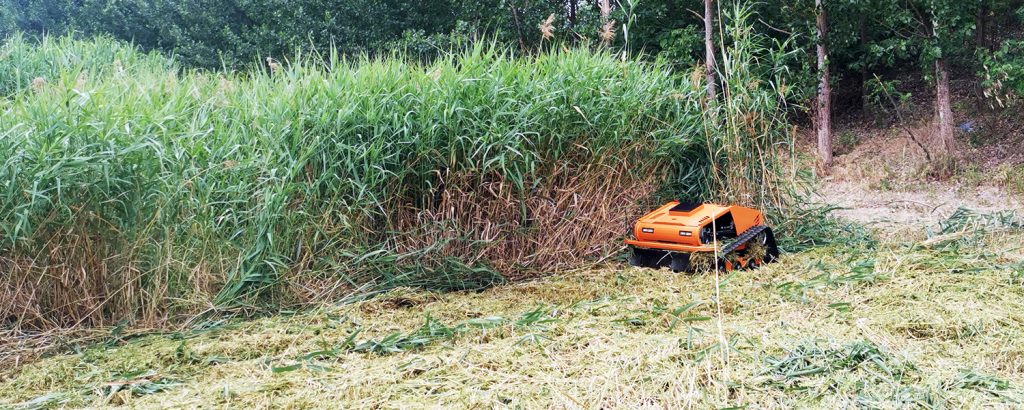 Cortador de grama com controle remoto